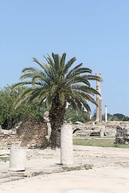 Tunis, Carthage-016